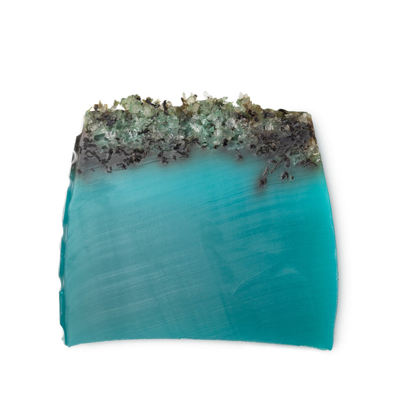Sea Vegetable